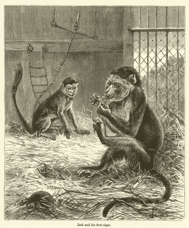Jack and His First Cigar by English School