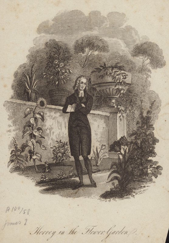 James Hervey in the Flower Garden by English School