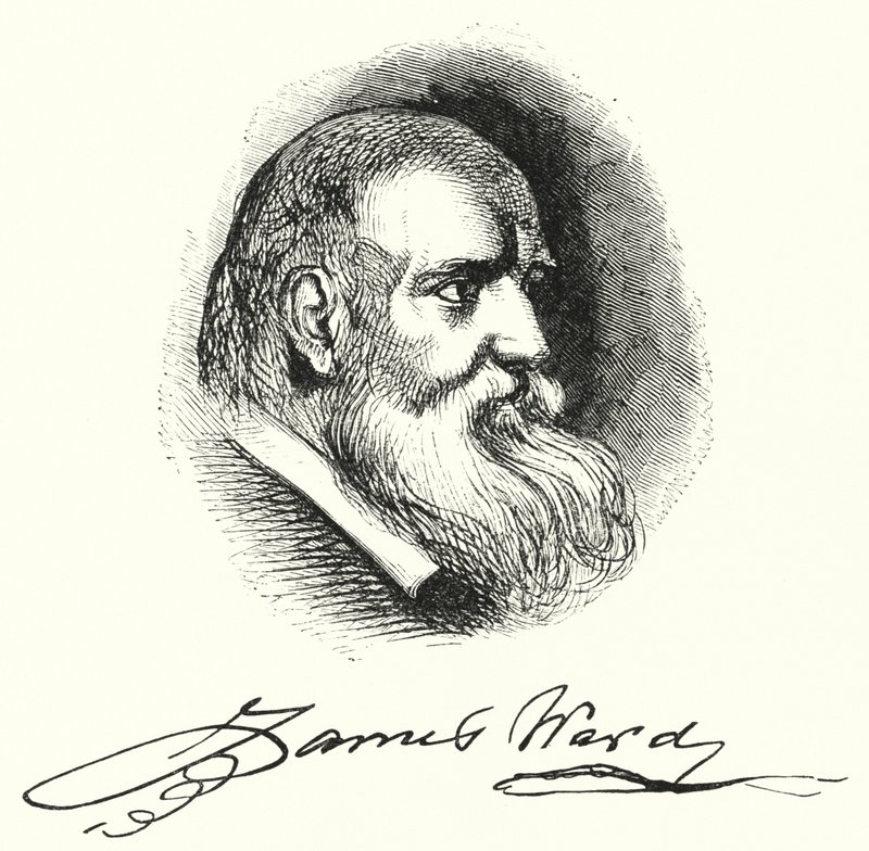 James Ward by English School