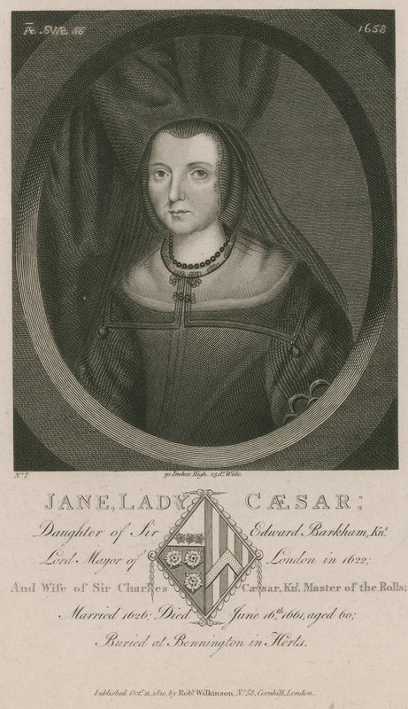 Jane, Lady Caesar, Daughter of Sir Edward Barkham by English School