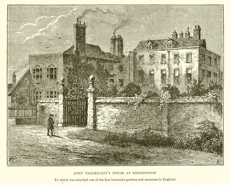 John Tradescant