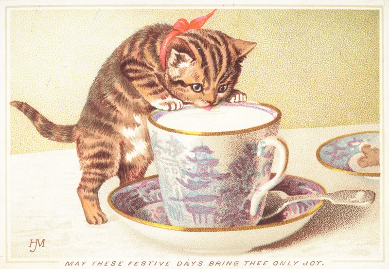 Kitten Drinking Out of Tea-Cup by English School