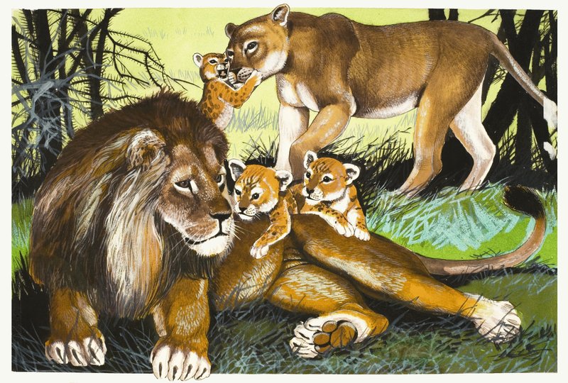 Lion, lioness and cubs by English School