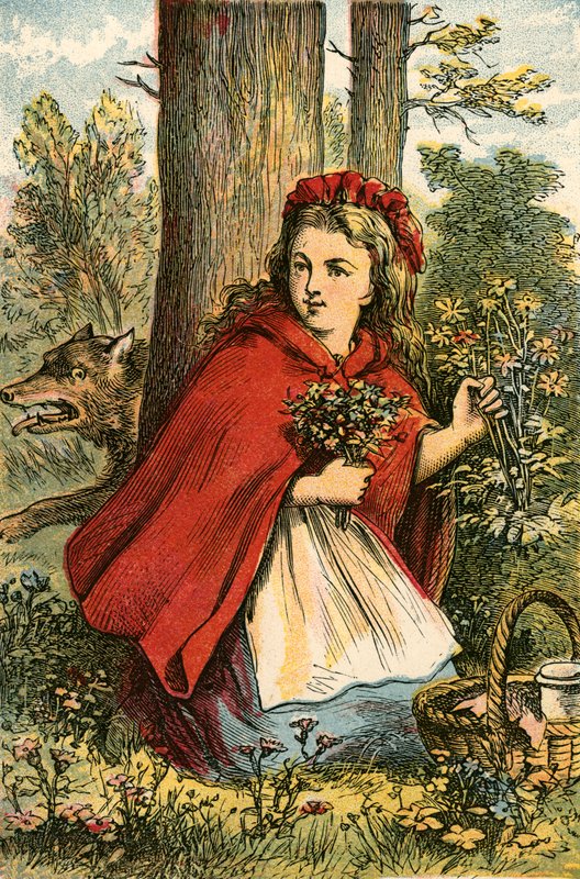 Little Red Riding Hood gathering flowers by English School