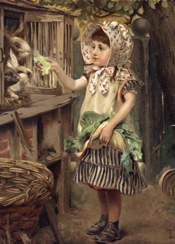 Little Girl Feeding Rabbits by English School