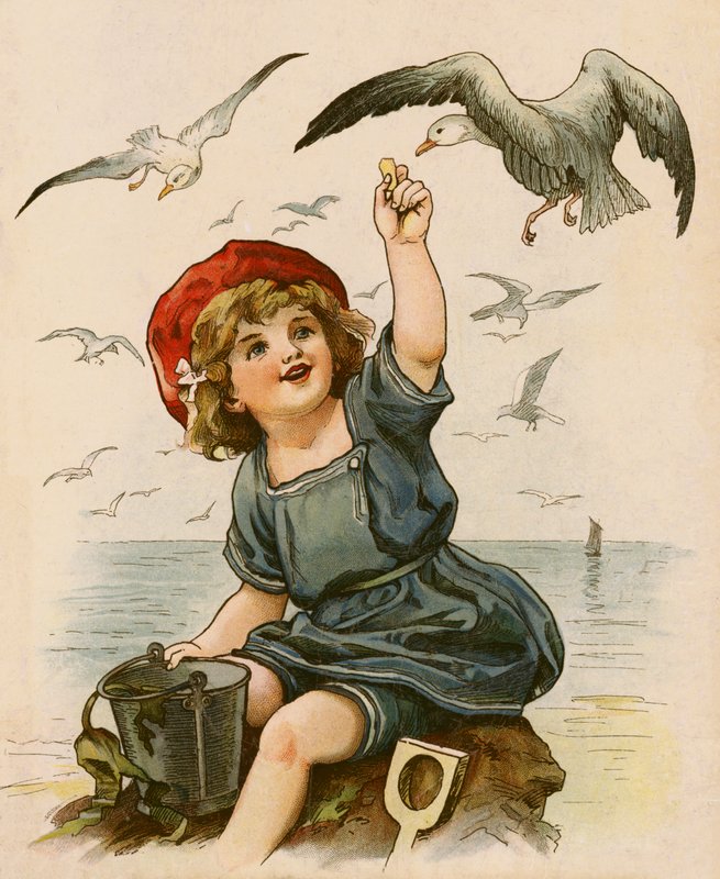 Little girl feeding seagulls by English School