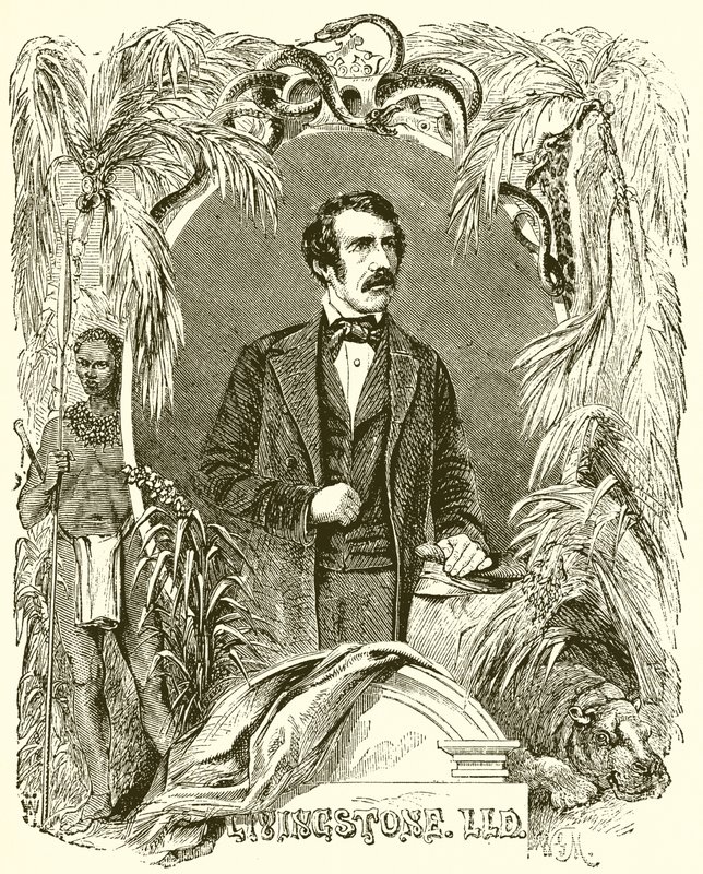 Livingstone by English School