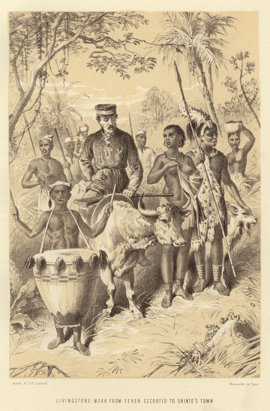Livingstone Weak from Fever Escorted to Shinte