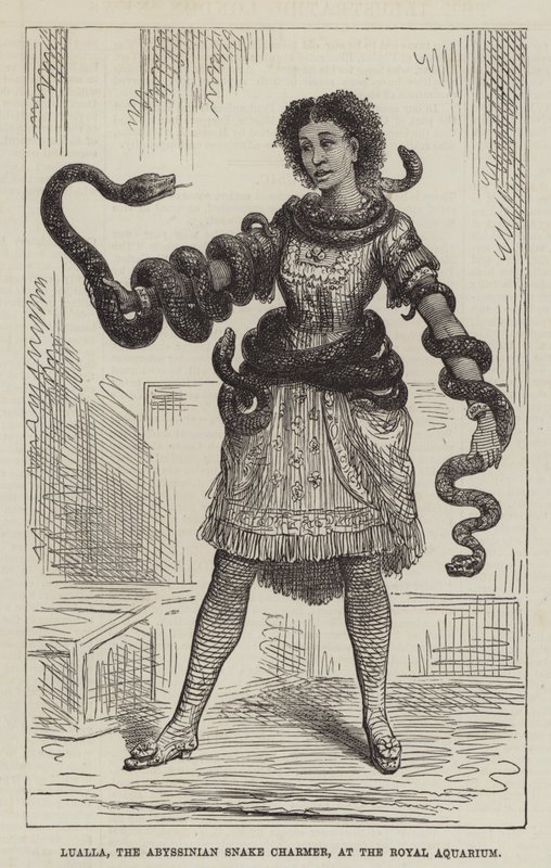 Lualla, the Abyssinian Snake Charmer, at the Royal Aquarium by English School