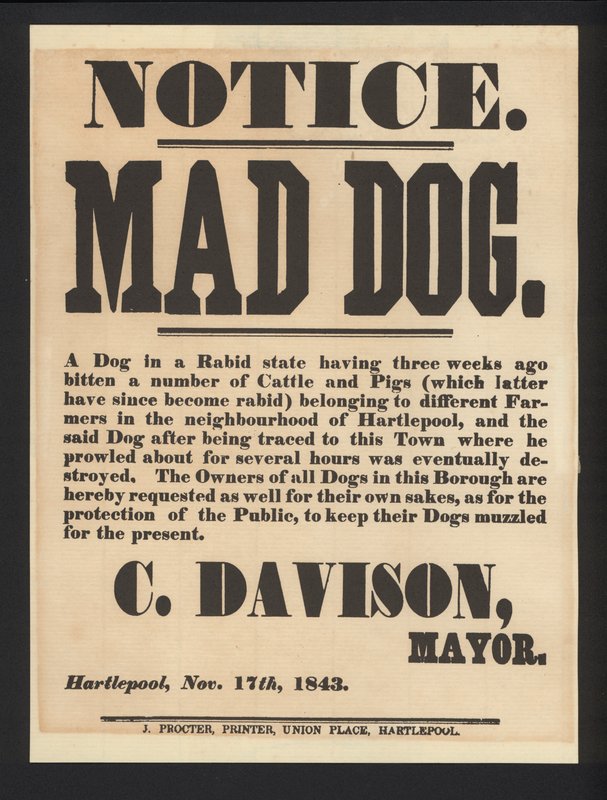Mad dog notice, Hartlepool, 1843 by English School