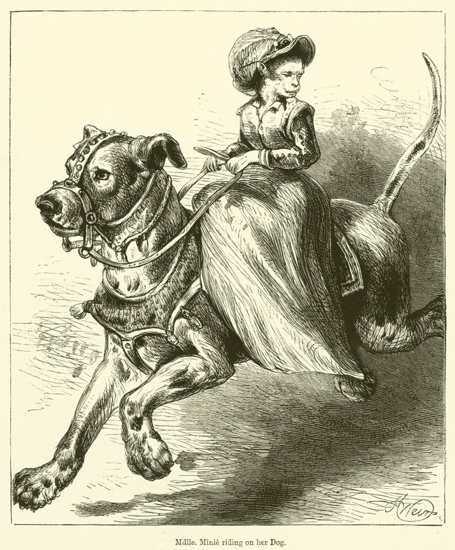 Mademoiselle Minie Riding on her Dog by English School
