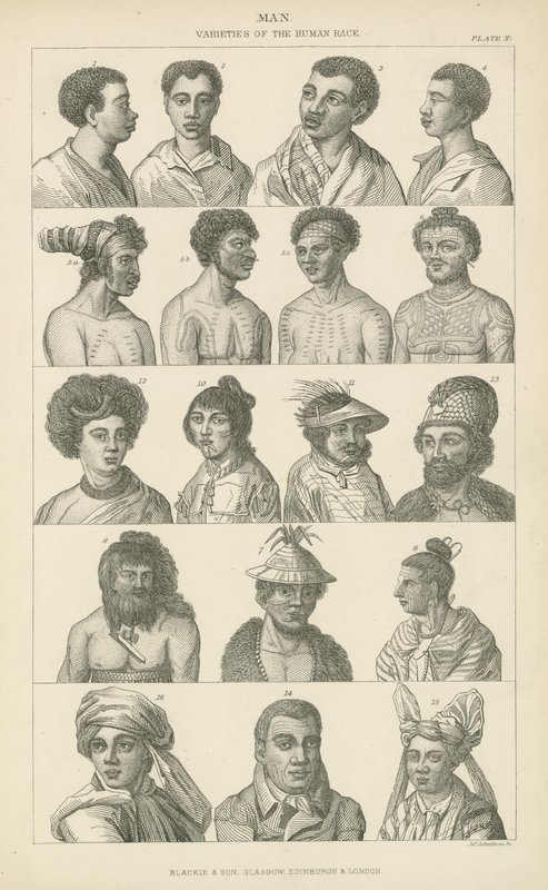Man. Varieties of the human race by English School