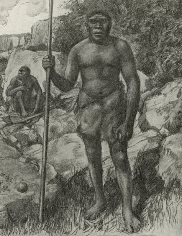 Man whose skull was discovered in Rhodesia in 1921 by English School