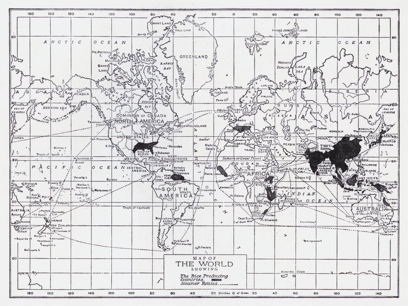 Map of the world showing the rice producing countries by English School