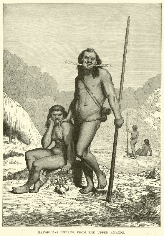 Mayorunas Indians, from the Upper Amazon by English School