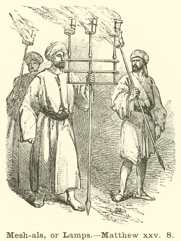 Mesh-als, or Lamps by English School
