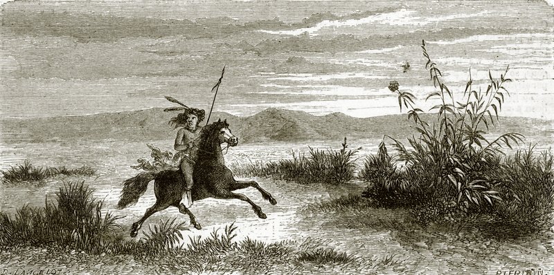 Mohave Horseman by English School