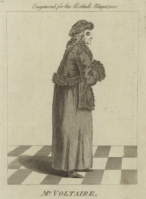 Mr Voltaire by English School