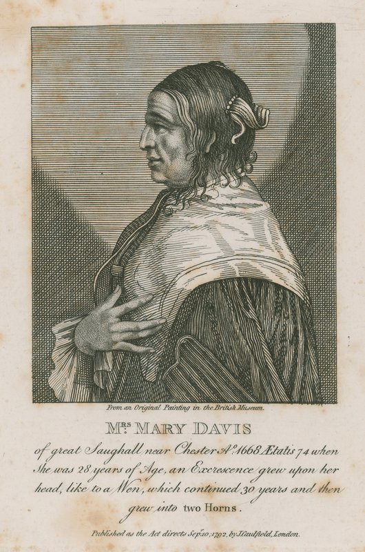Mrs Mary Davis of Great Saughall near Chester, 1668 by English School