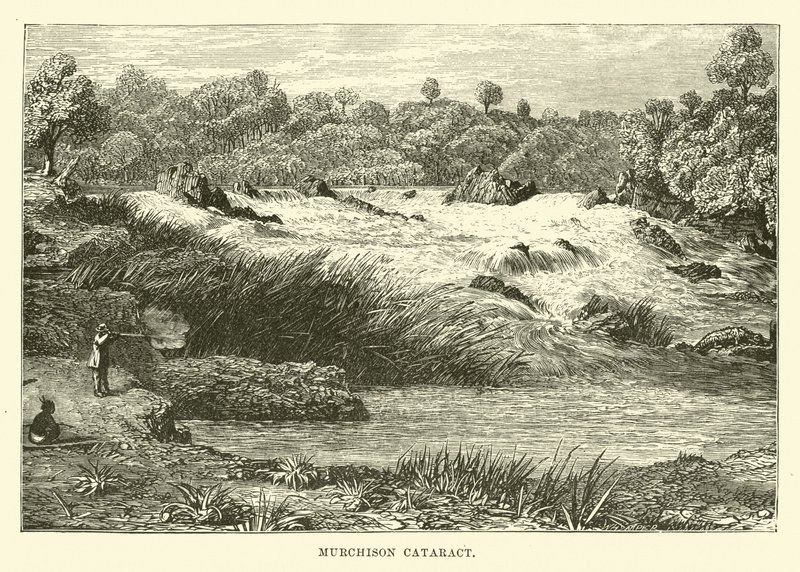Murchison Cataract by English School