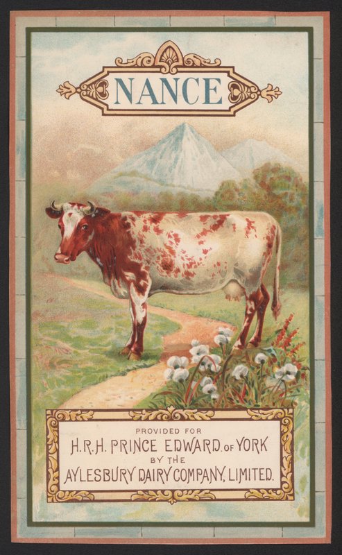 Nance, advertisement for the Aylesbury Dairy Company by English School