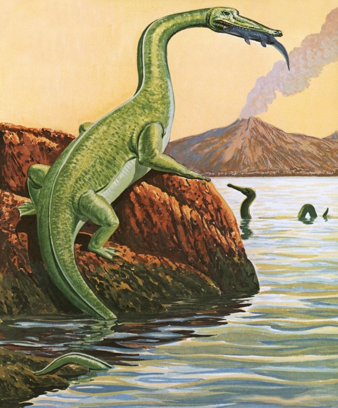 Nathosaurus Having a Meal by English School