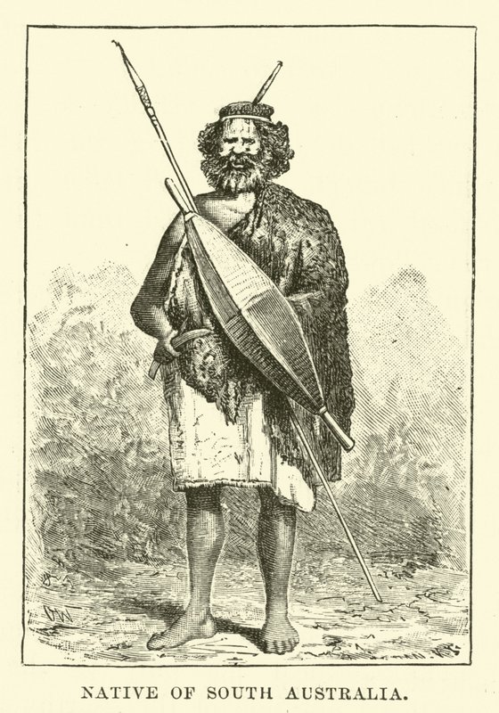 Native of South Australia by English School