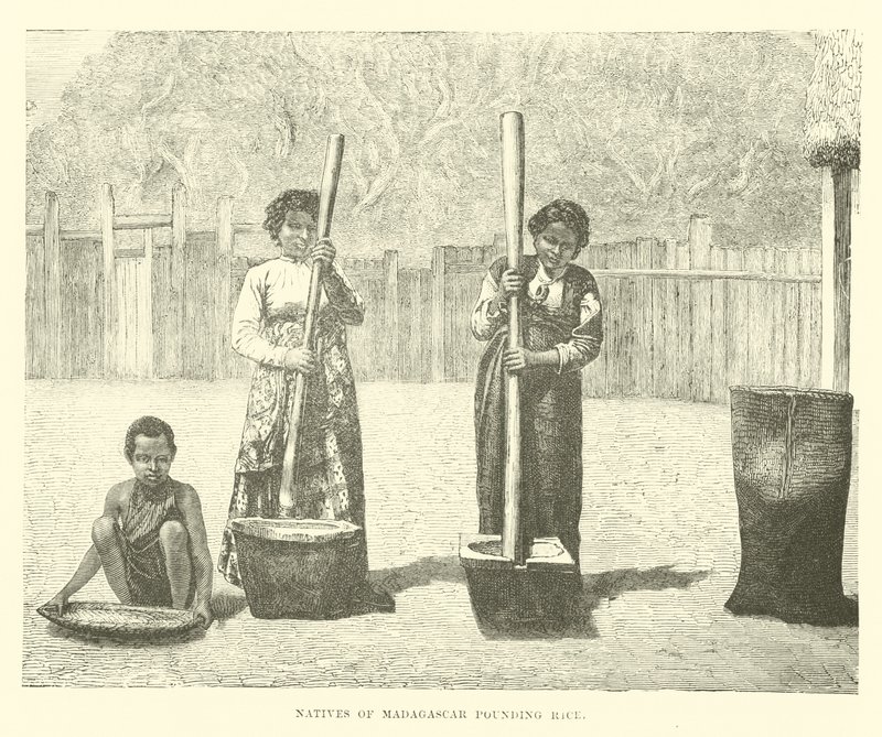 Natives of Madagascar Pounding Rice by English School