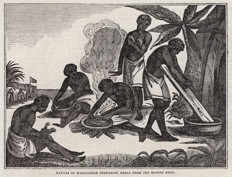 Natives of Madagascar Preparing Bread from Manioc Root by English School