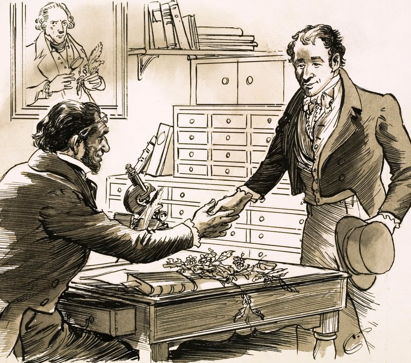 Naturalist David Douglas got his chance when he was chosen by the Horticultural Society by English School