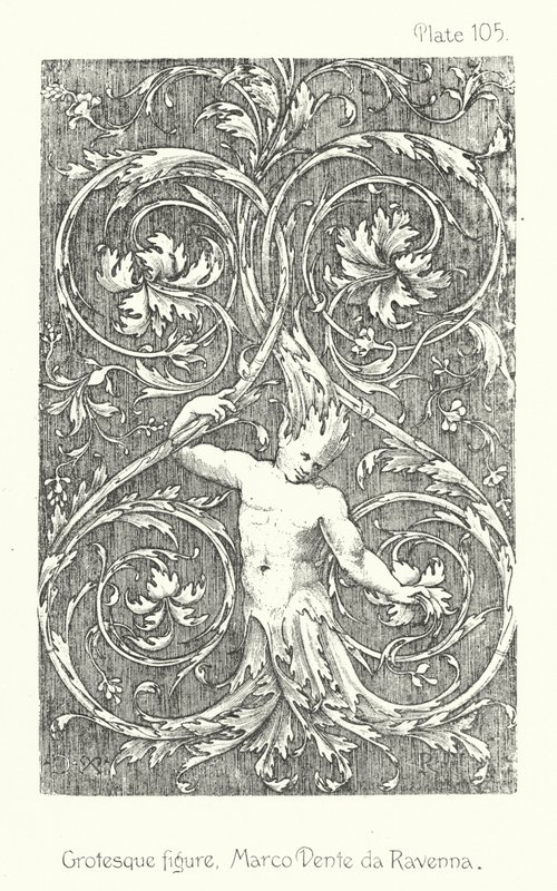 Nature in Ornament: Grotesque figure, Marco Dente da Ravenna by English School