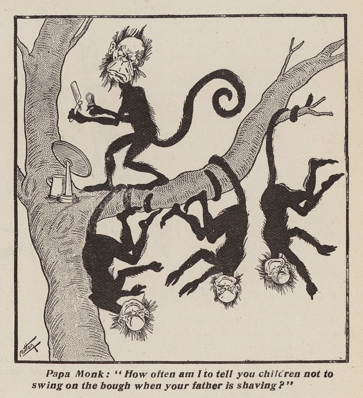 Naughty Monkeys by English School