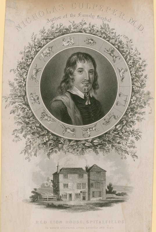 Nicholas Culpepper, MD by English School