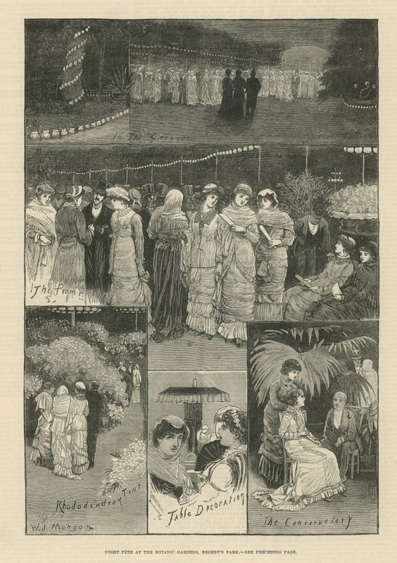 Night Fete at the Botanic Gardens by English School