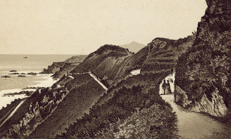 North Devon: Torrs Walks, Looking East by English School