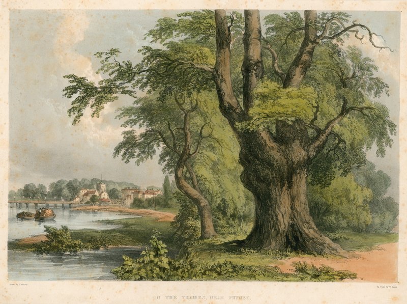 On the River Thames, near Putney, London by English School