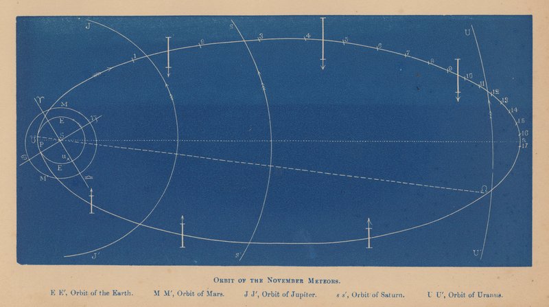 Orbit of the November Meteors by English School