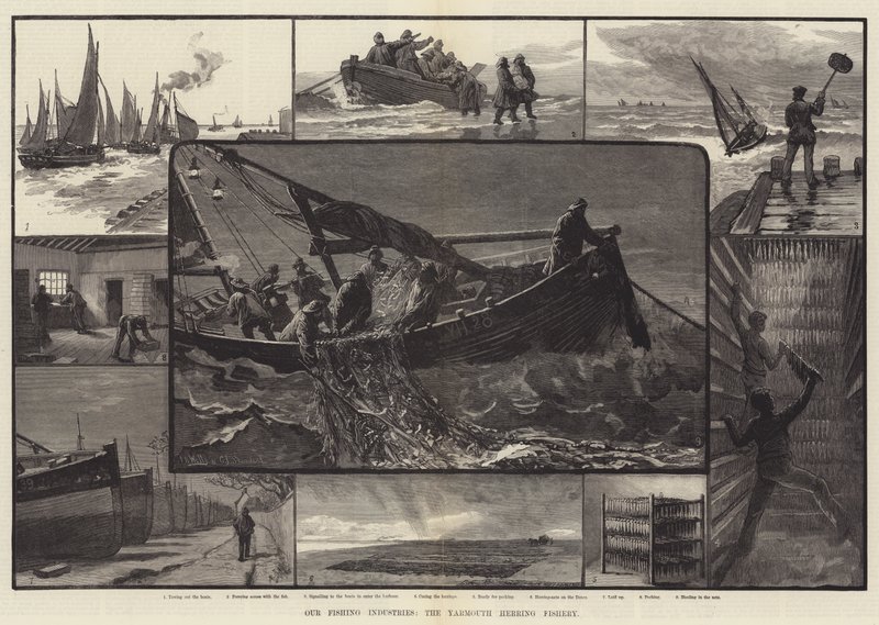 Our Fishing Industries, the Yarmouth Herring Fishery (engraving) by English School