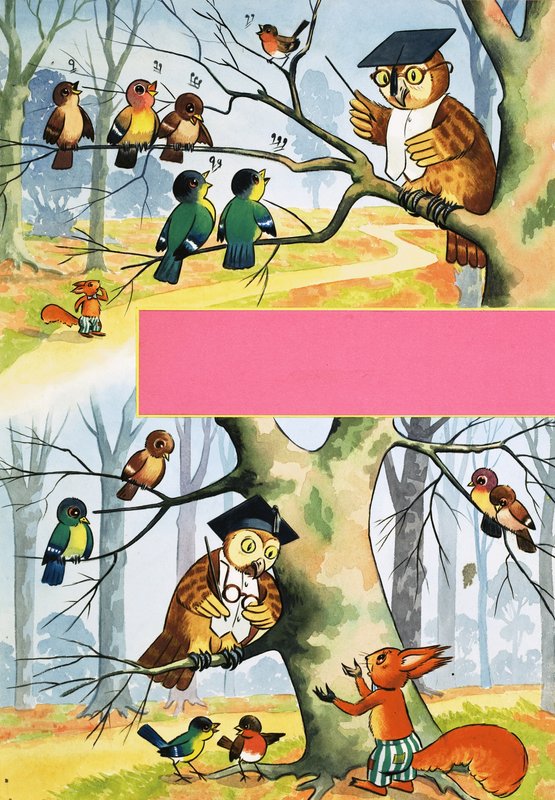 Owl teaching other birds by English School