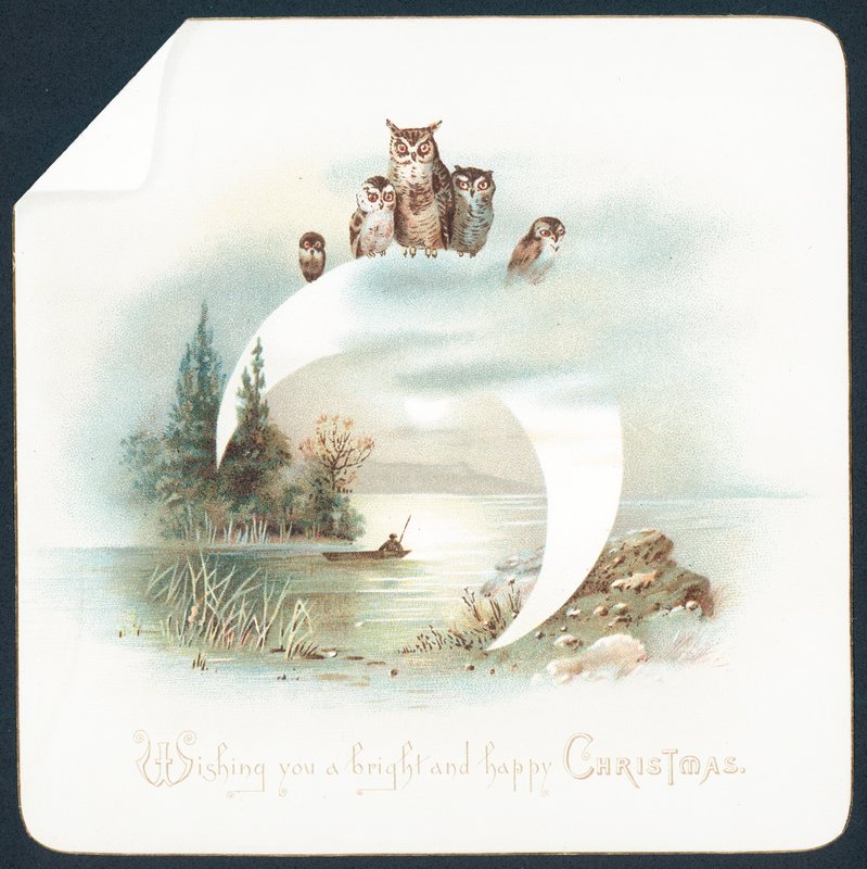 Owls Sitting on Moon Crescent by English School