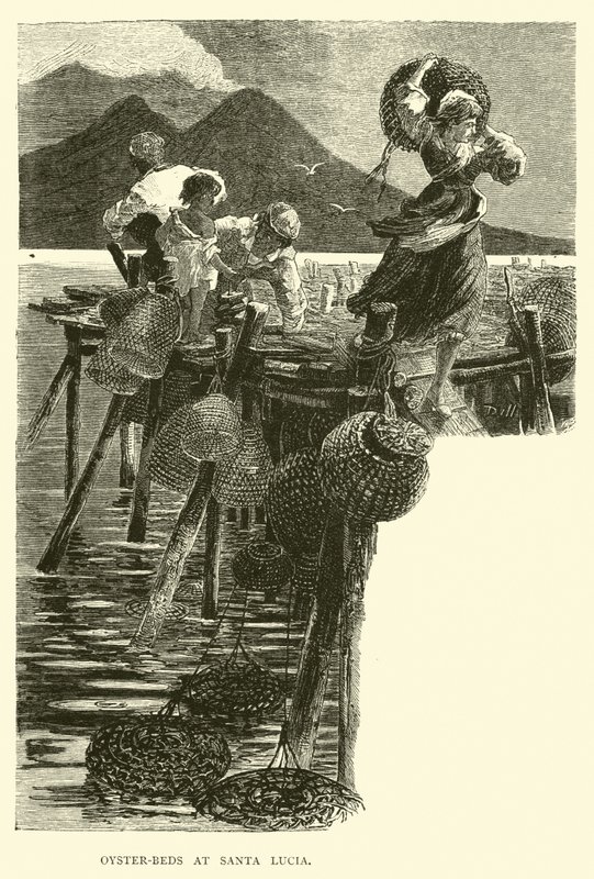 Oyster-beds at Santa Lucia by English School
