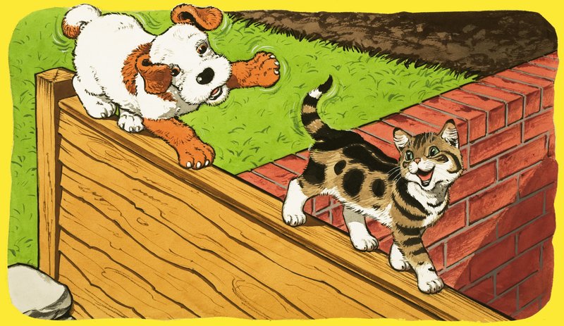 Paddy Paws by English School