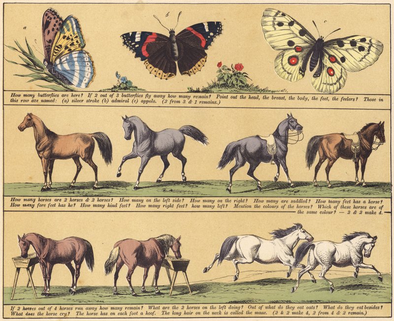 Page from The New Picture Book by English School