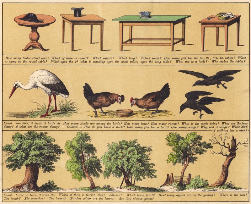 Page from The New Picture Book by English School