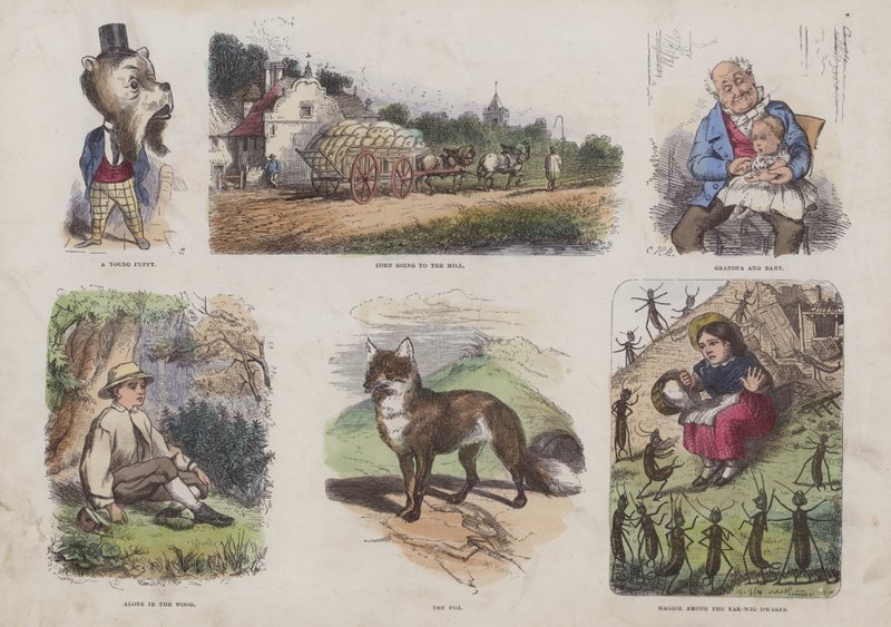 Page from the Attractive Picture Book by English School