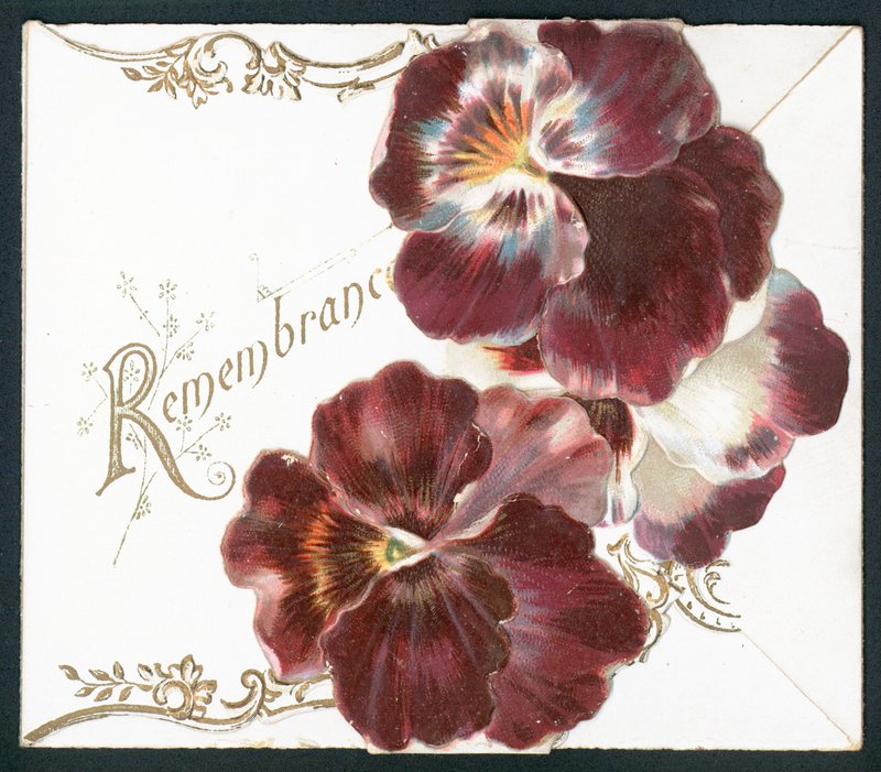 Pansies, Remembrance by English School