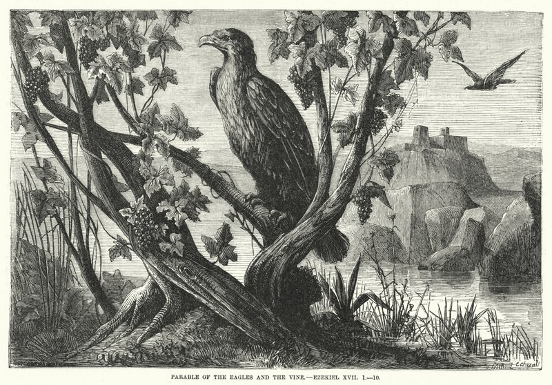 Parable of the Eagles and the Vine by English School
