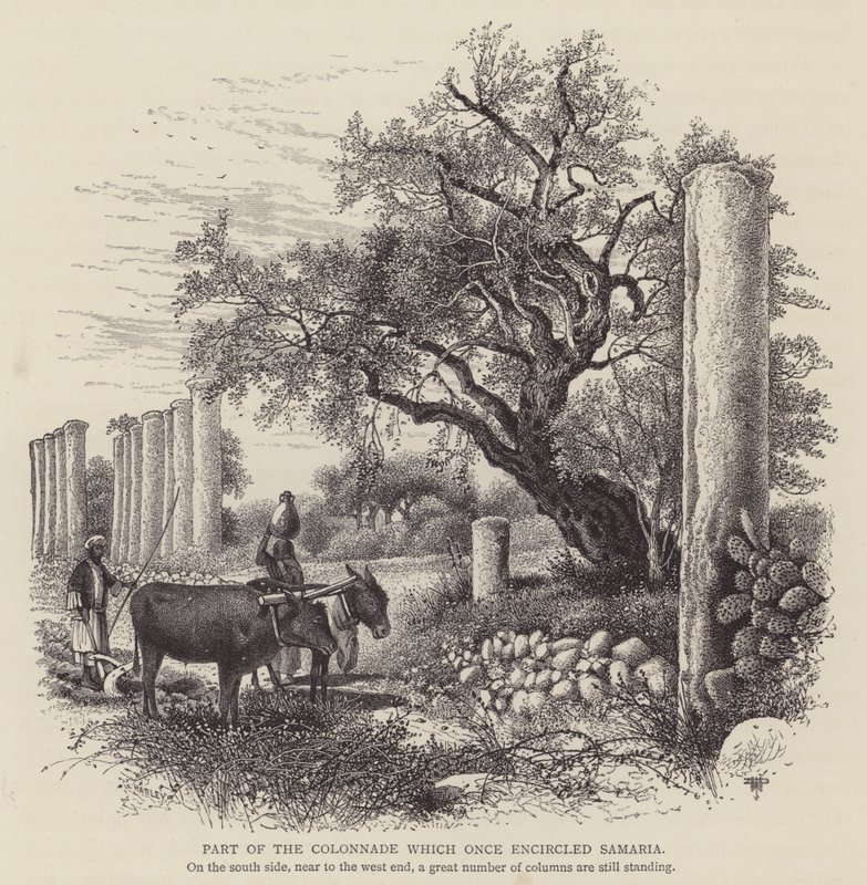 Part of the Colonnade which once encircled Samaria by English School
