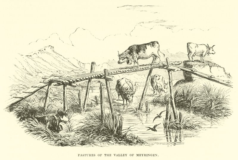 Pastures of the Valley of Meyringen by English School