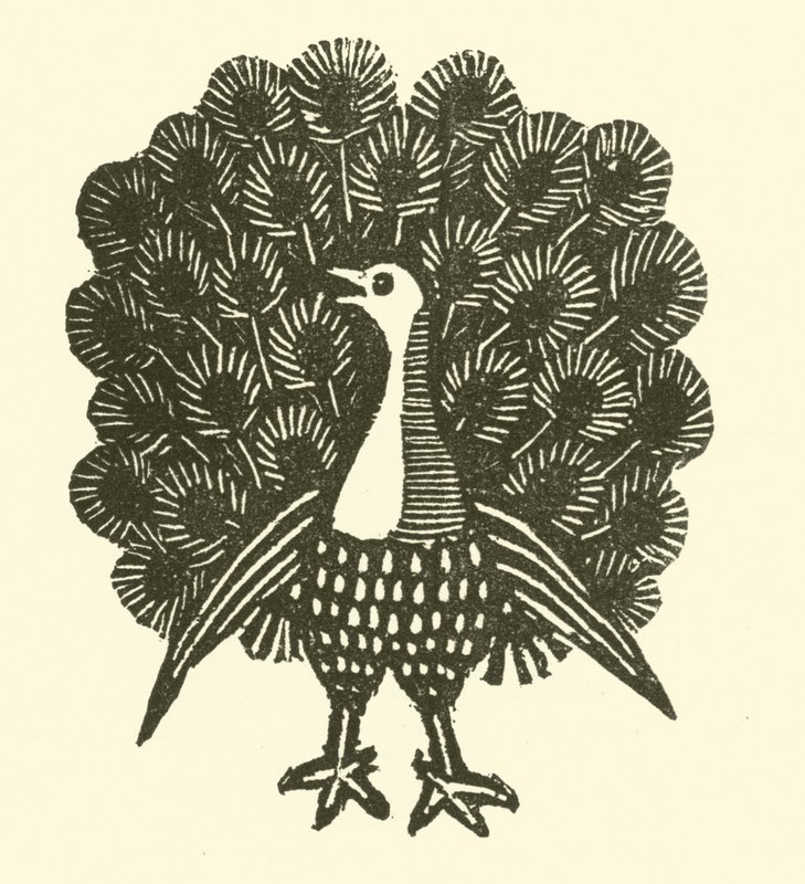 Peacock by English School
